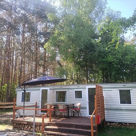 Tinyhaus Idyllisch Am Waldesrand Hotel Cottbus Exterior foto