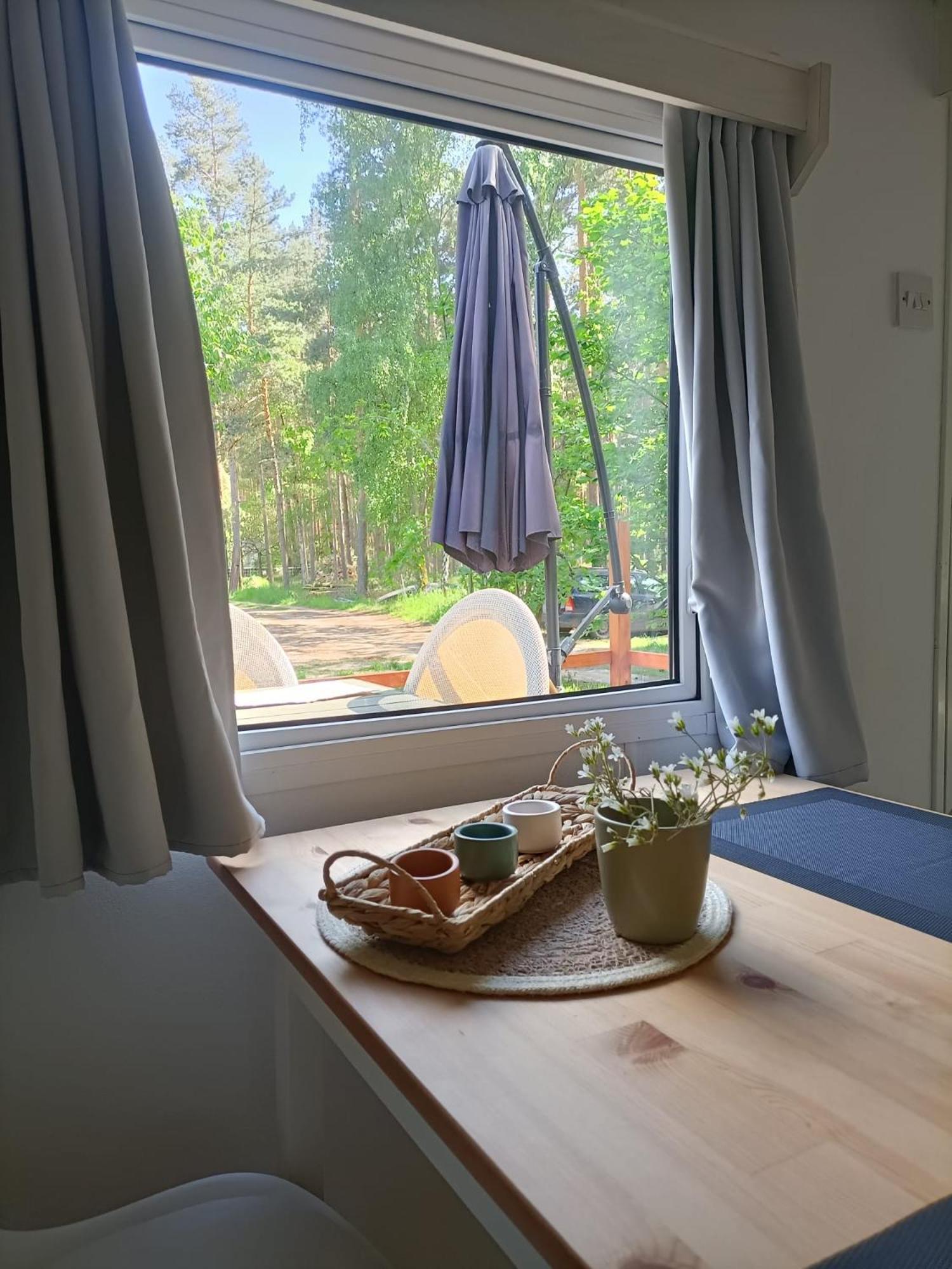 Tinyhaus Idyllisch Am Waldesrand Hotel Cottbus Exterior foto