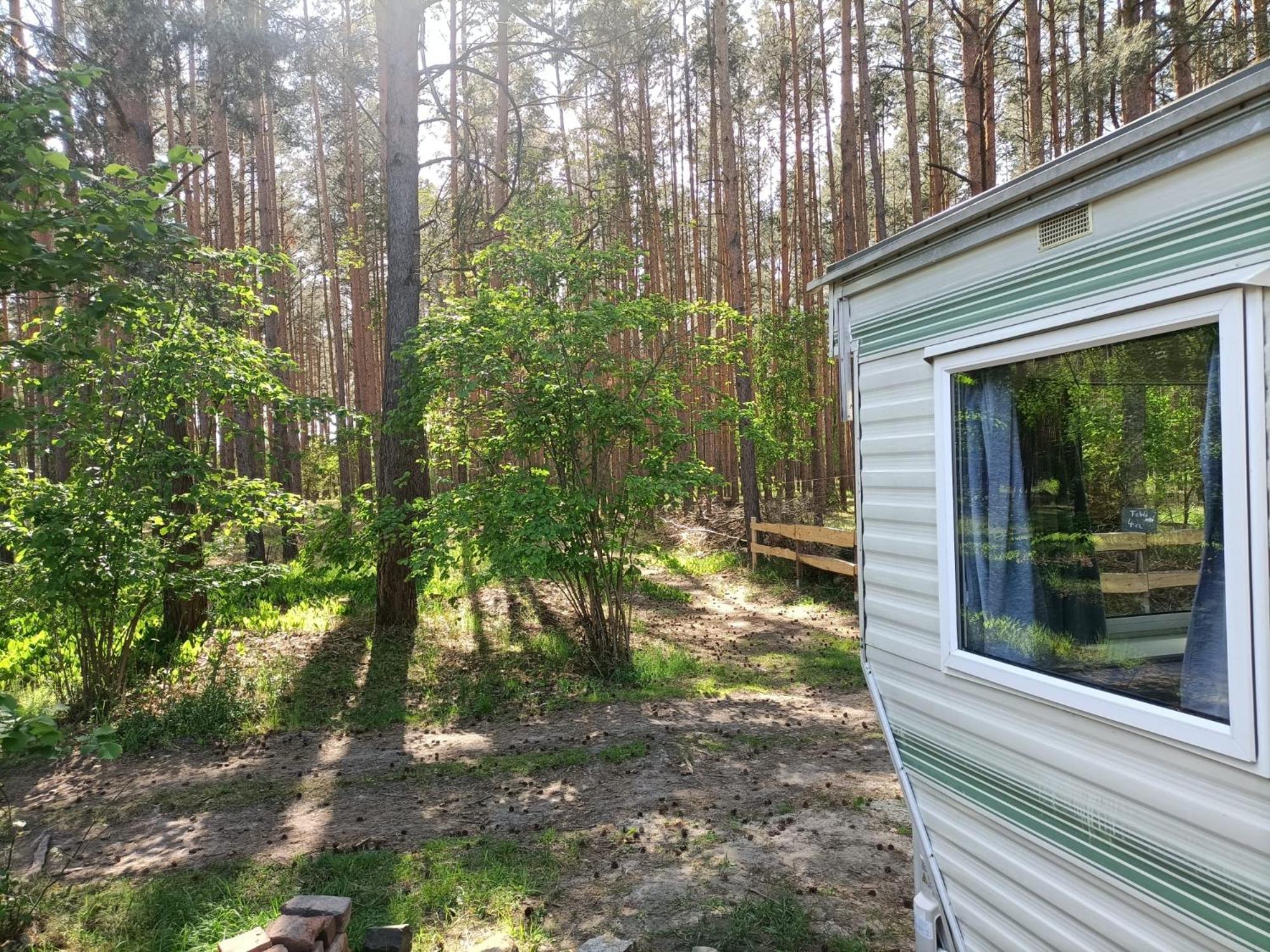 Tinyhaus Idyllisch Am Waldesrand Hotel Cottbus Exterior foto