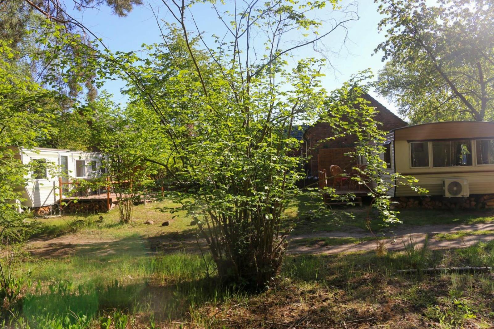 Tinyhaus Idyllisch Am Waldesrand Hotel Cottbus Exterior foto